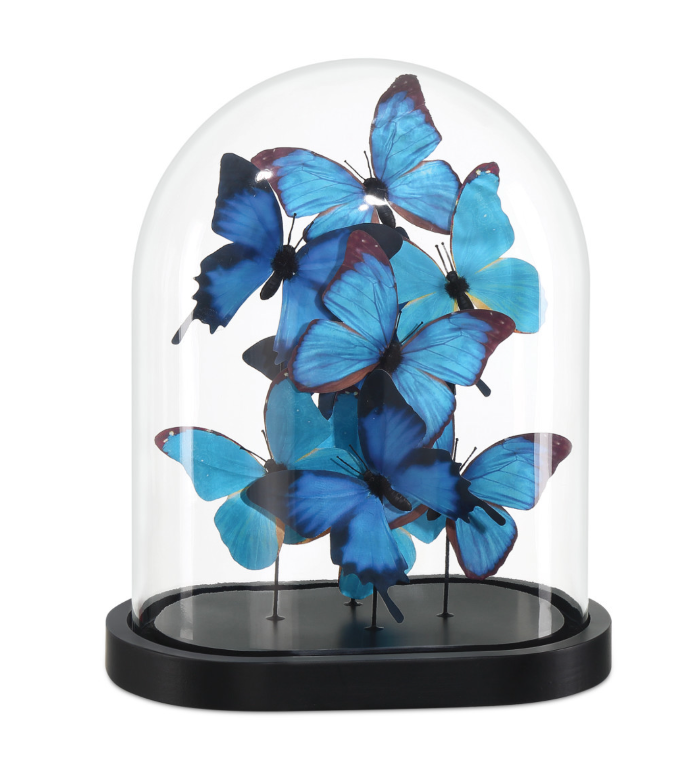 Rue de Bac Blue Medium Butterflies