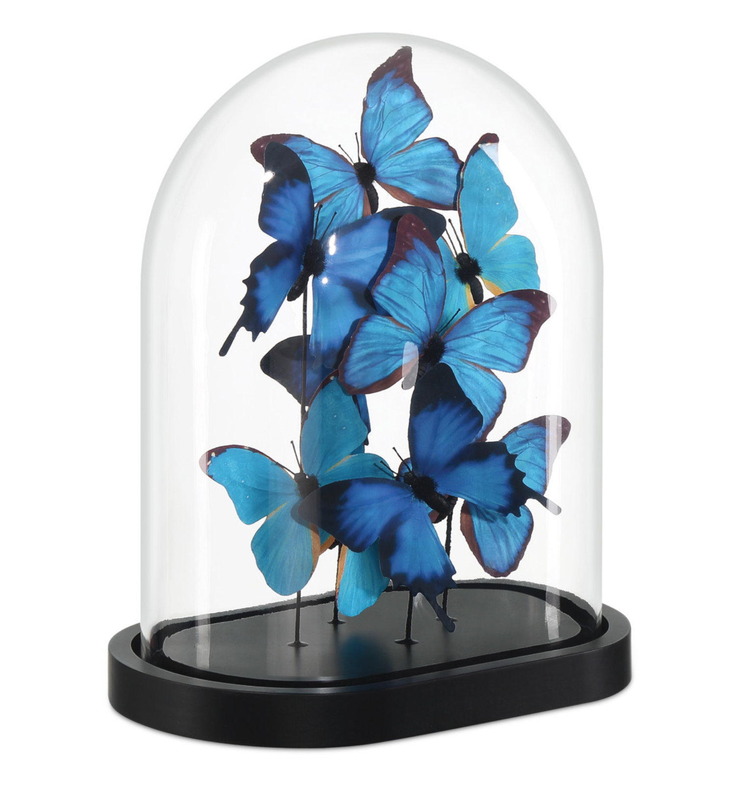 Rue de Bac Blue Medium Butterflies