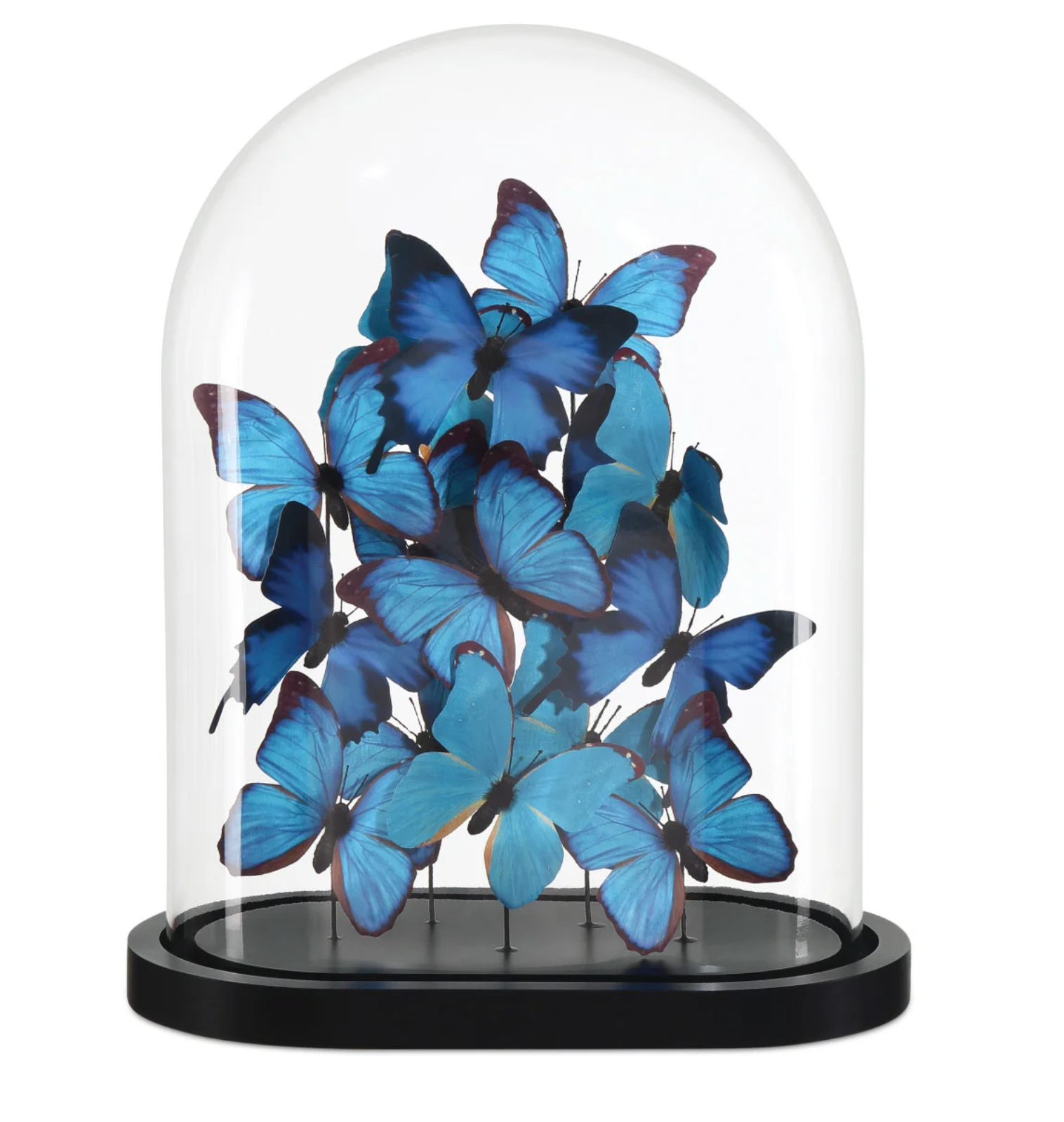 Rue de Bac Blue Large Butterflies