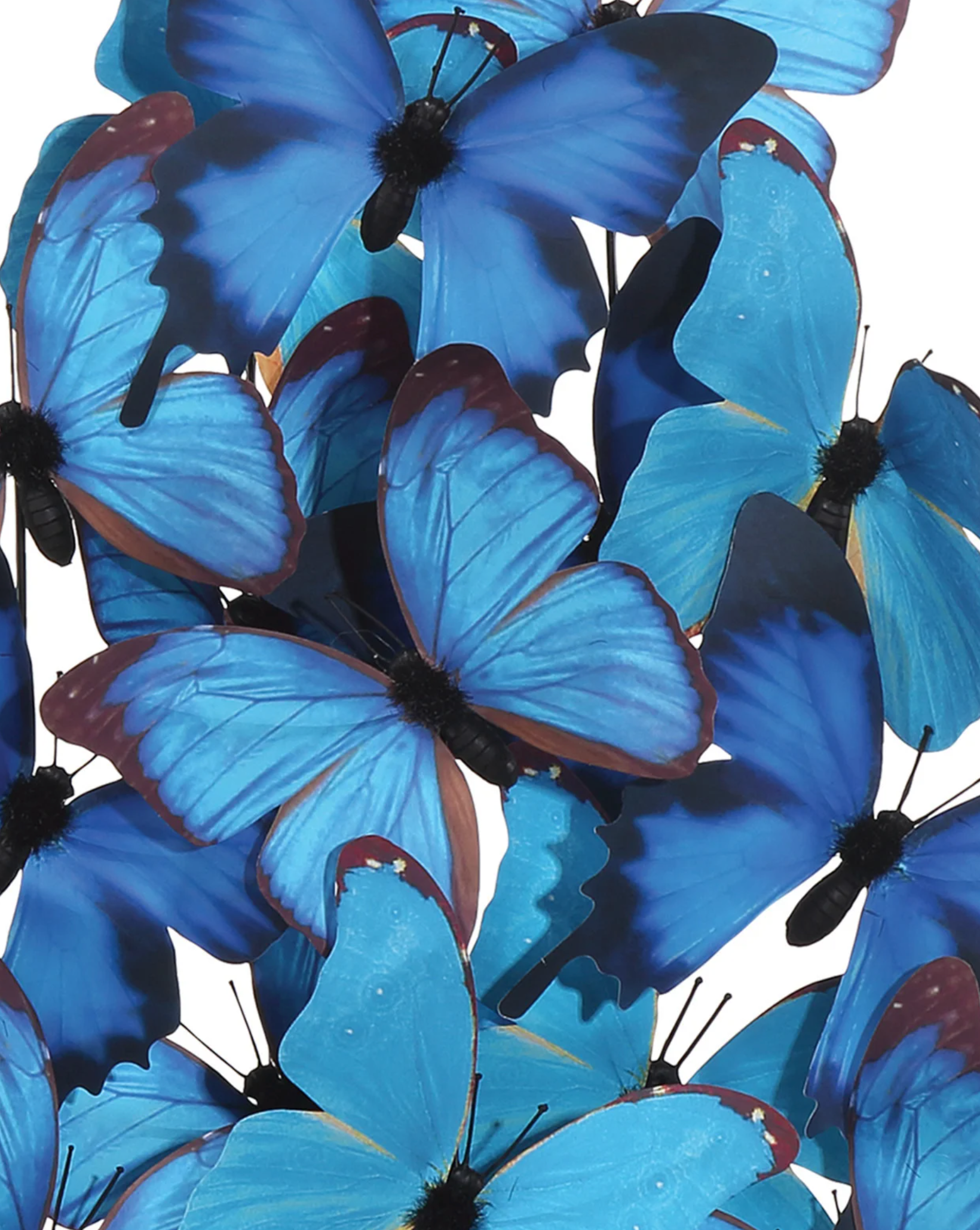 Rue de Bac Blue Large Butterflies