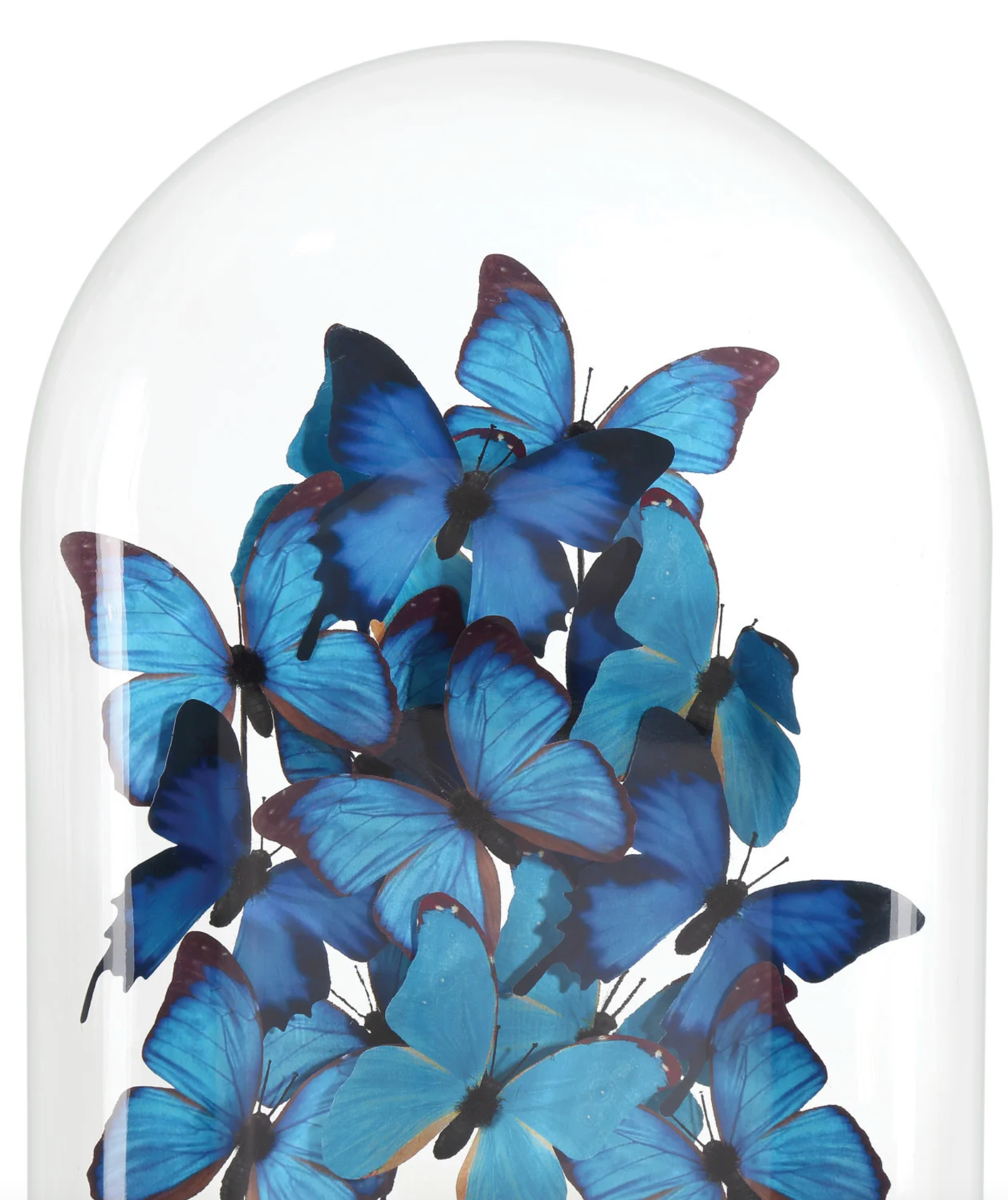 Rue de Bac Blue Large Butterflies
