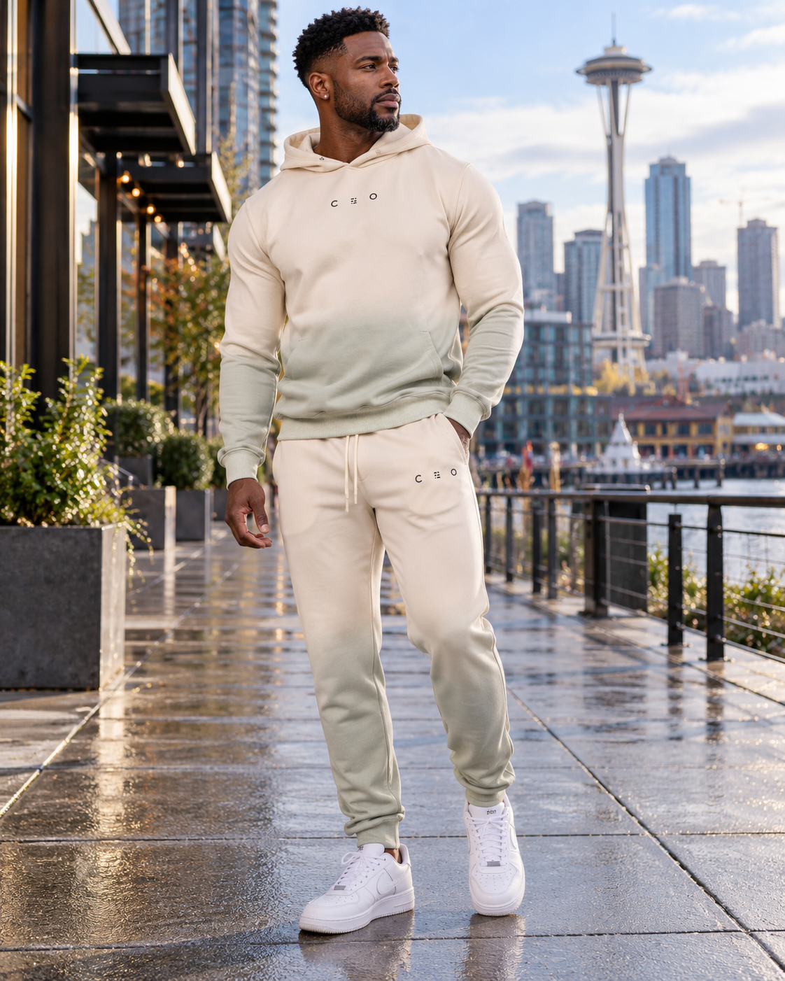 Ombre Hoodie
