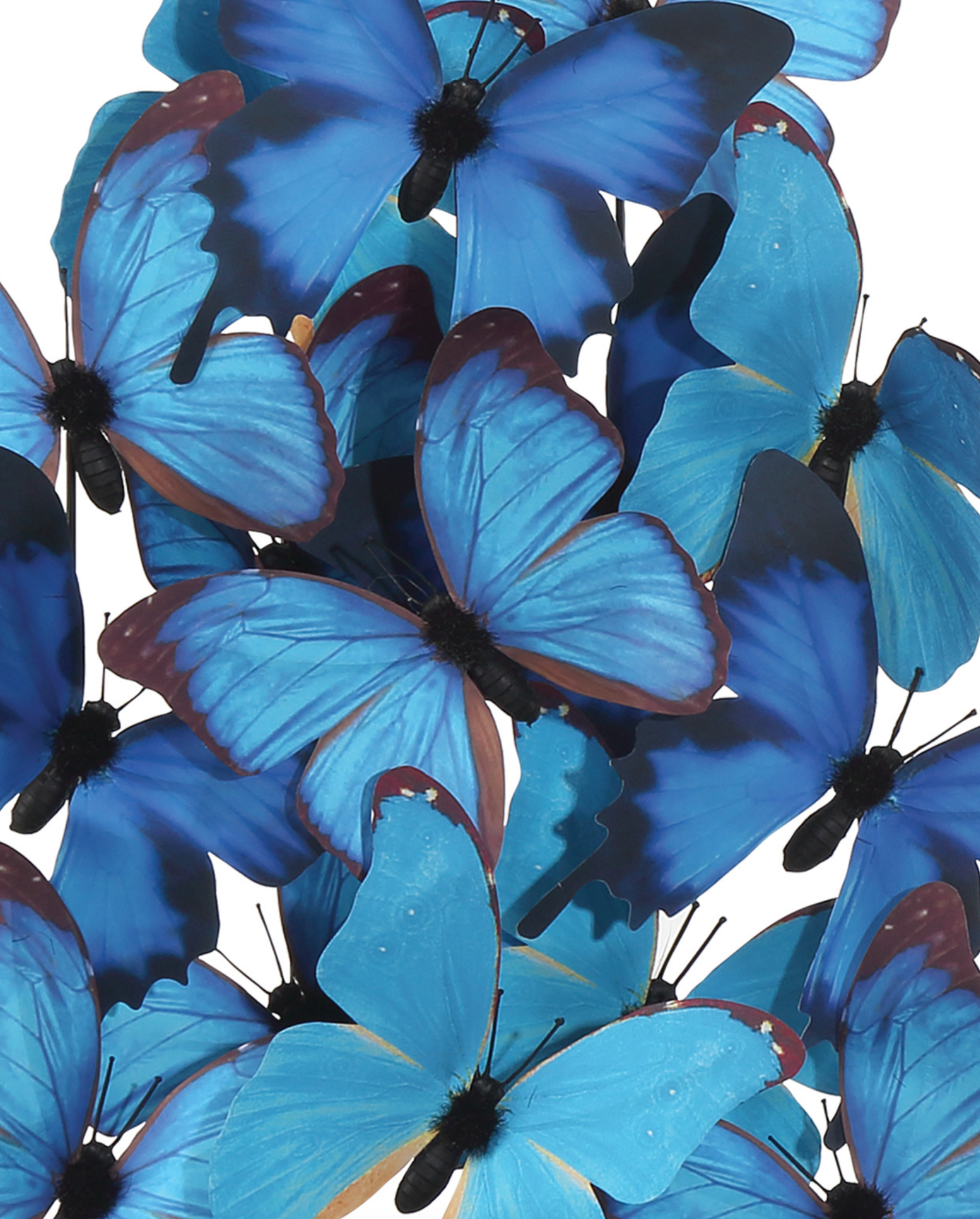 Rue de Bac Blue Medium Butterflies