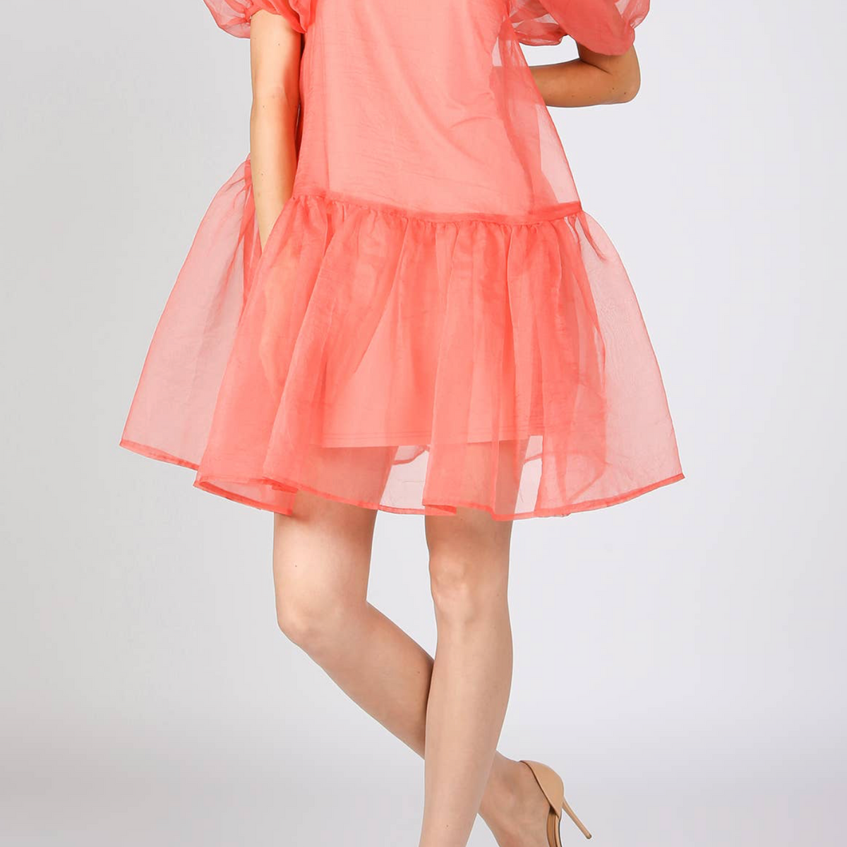 organza mini slip dress VS Organza Mini Slip Dress